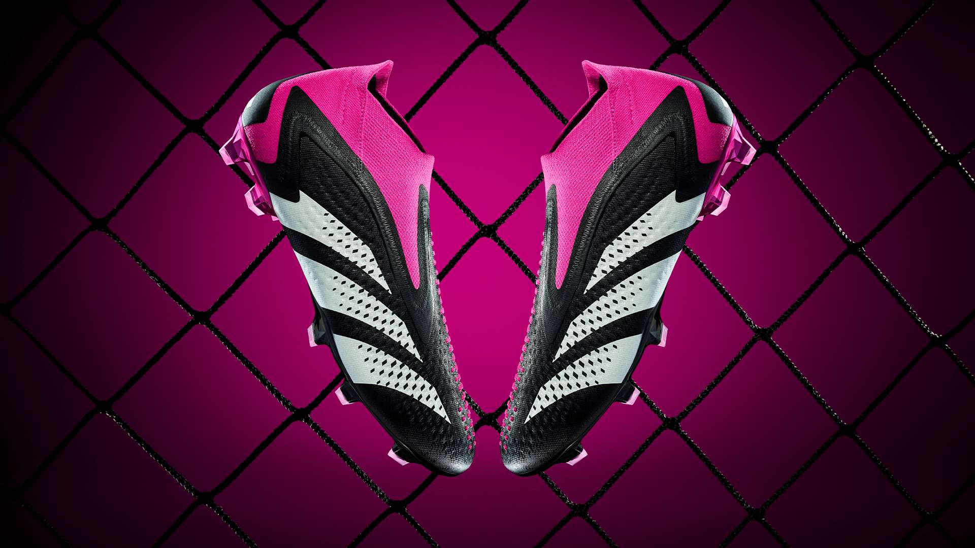 人了解了冲 人了解了冲